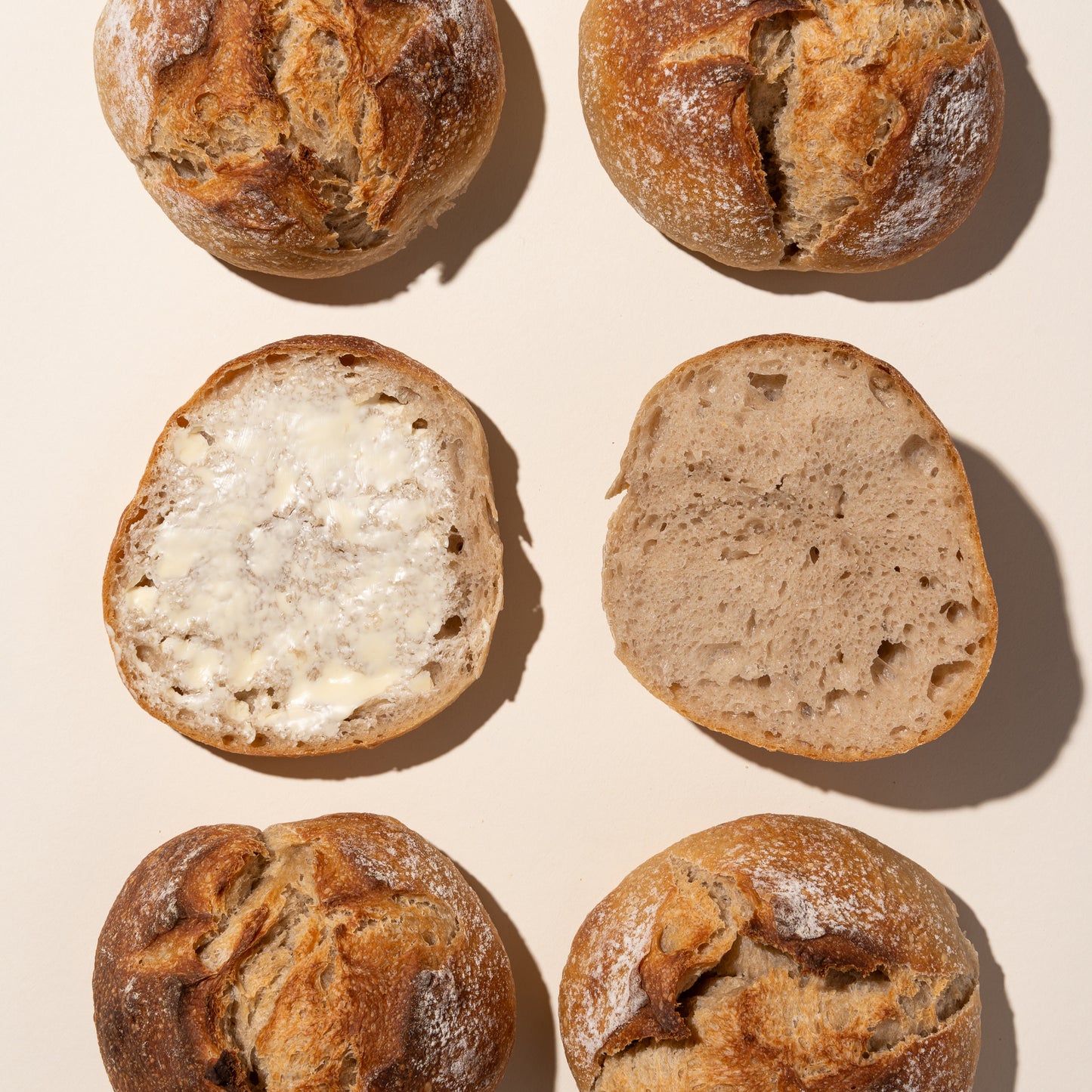 Bollen