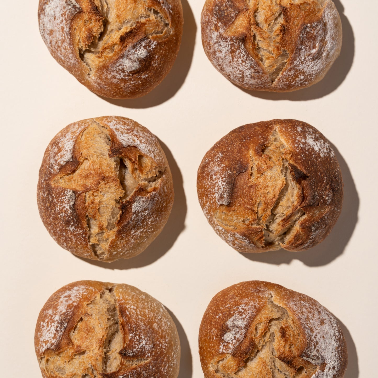 Bollen