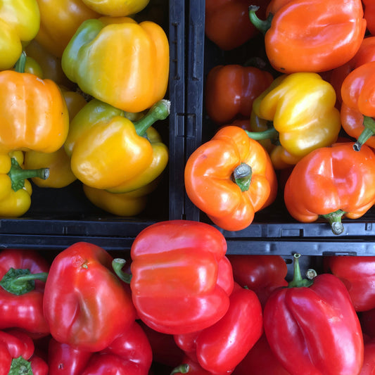 Special vrijdag 4 september - Geroosterde knoflook, paprika en ui